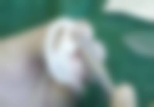 六、珠海香山美容门诊部口碑如何？