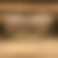 三、武汉亚韩整形外科林茂辉医生资质信息