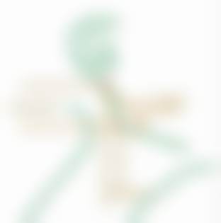 二、北京圣嘉新医疗美容黄海滨医生擅长项目