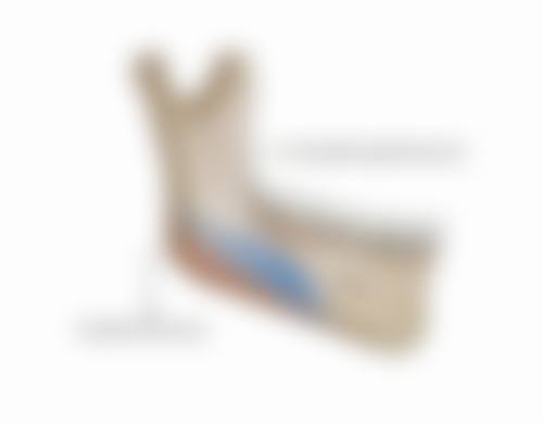 三、上海艺星时尚医疗美容(浦东陆家嘴)郭敬松医生资质信息