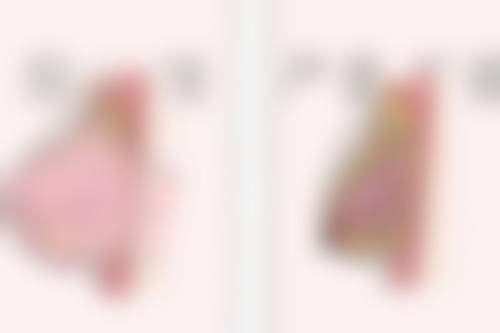 三、北京卓颜蕊丽整形医疗美容（原知音蕊丽）医生介绍