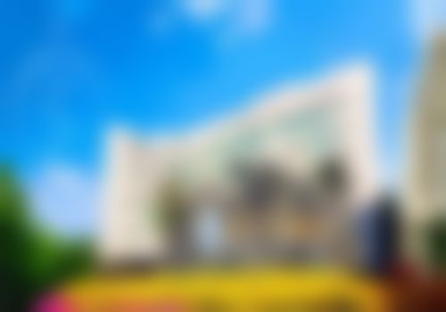 二、深圳北京大学庄礼大医生擅长项目