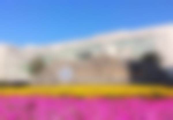 二、深圳北京大学崔永言医生擅长项目