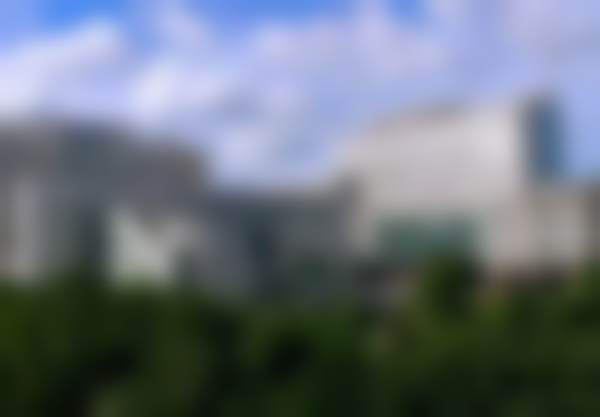 三、深圳北京大学庄礼大医生资质信息