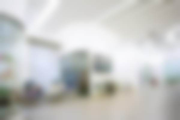 二、北京联合丽格医疗美容（太阳宫院区）卢丽娟医生擅长项目