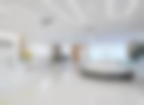 三、北京圣嘉新苏敬达医生资质信息