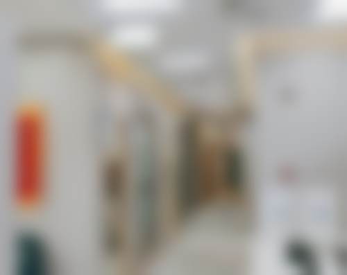 三、长春碧莲盛植发医生介绍