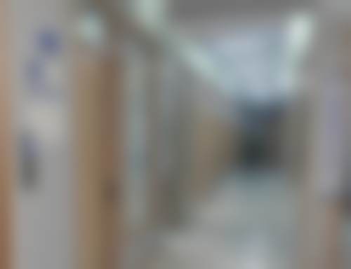 八、长春碧莲盛植发怎么预约？