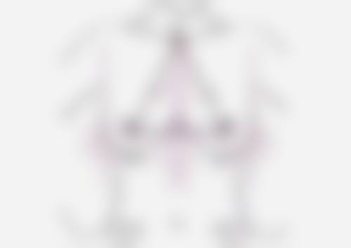 三、佰诺佰琪(巴诺巴琪) 。金柳廷医生资质信息