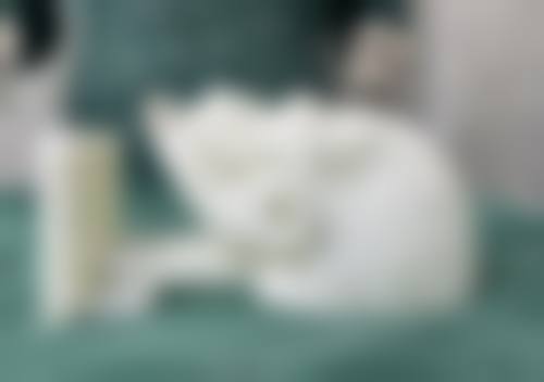 五、武汉武昌雅黛尔整形医院收费价格表