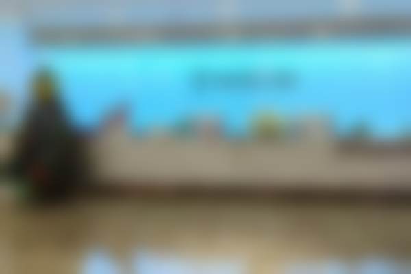 三、成都锦江美蒂菲郑昱昕医生资质信息