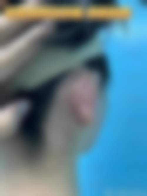 二、郑州管城美岚医疗美容整形诊所正规吗？来看医院资质信息