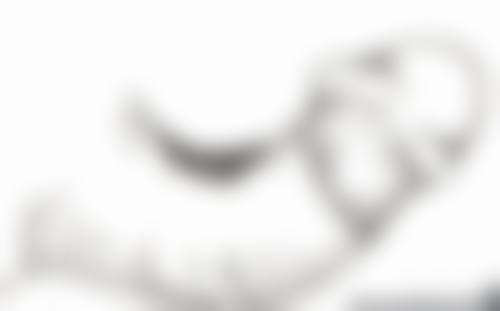 三、马福顺医生资质信息