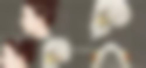 李世华医生擅长项目