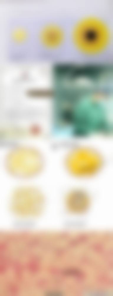 八、南昌你好美医疗美容诊所怎么预约？