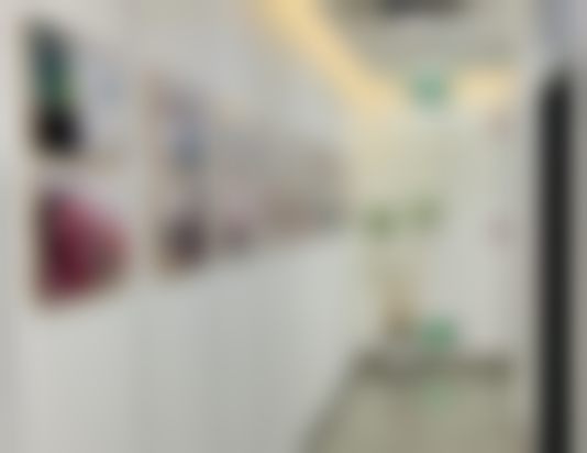 擅长项目之面部轮廓塑造
