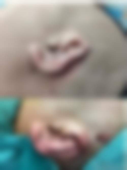 三、湖州同济医疗美容门诊部医生介绍