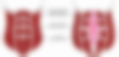 三、成都科思研医学美容代维医生资质信息