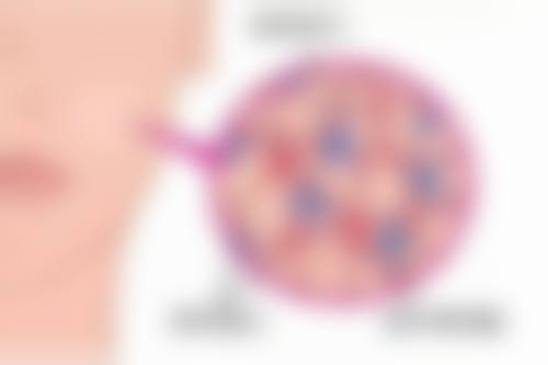 七、厦门思明美丽星后整形外科童艳医生怎么预约？