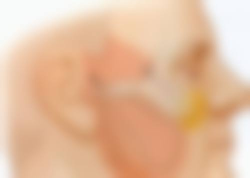 医生资质信息