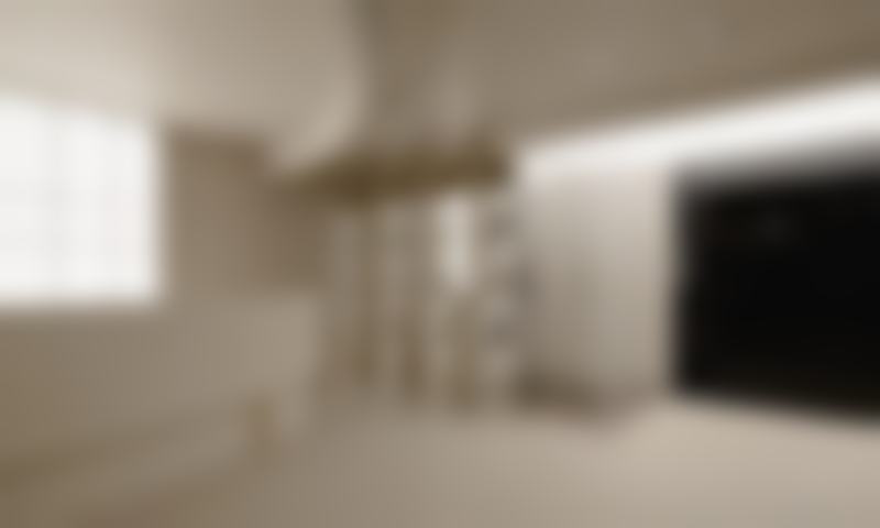 三、sinsang整形外科医生介绍